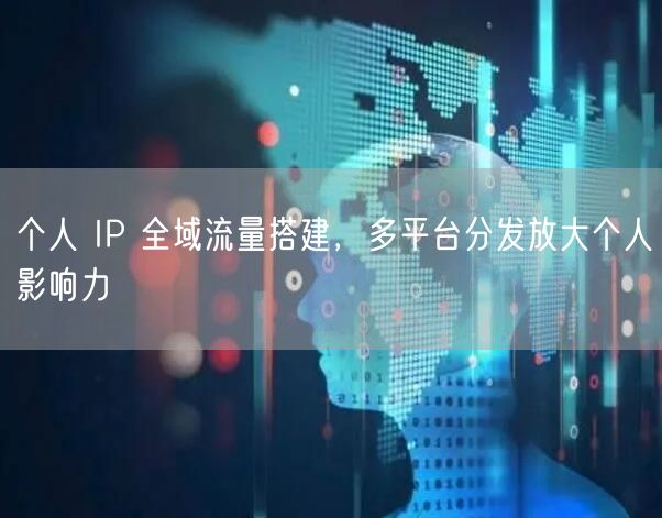 个人 IP 全域流量搭建，多平台分发放大个人影响力