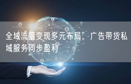 全域流量变现多元布局，广告带货私域服务同步盈利