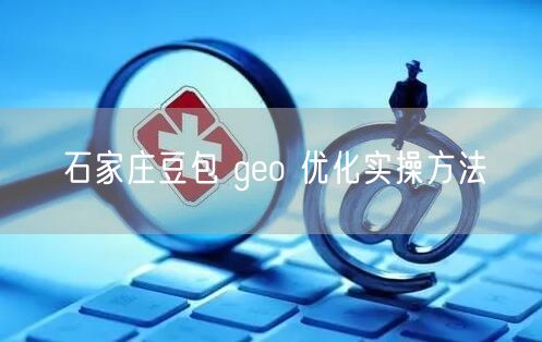 石家庄豆包 geo 优化实操方法
