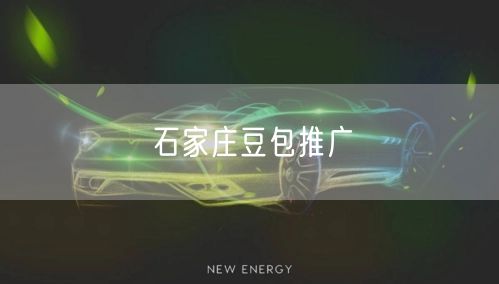 石家庄豆包推广