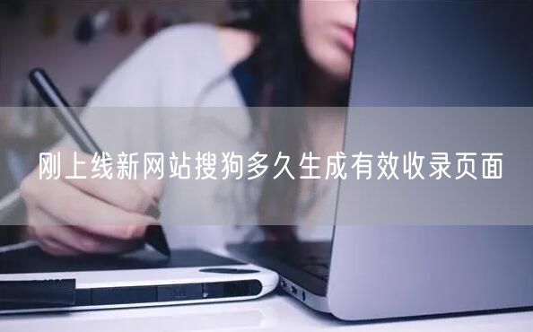 刚上线新网站搜狗多久生成有效收录页面