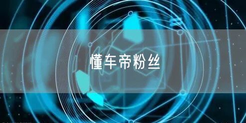 懂车帝粉丝