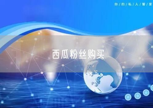 西瓜粉丝购买