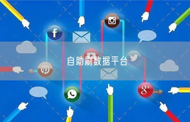 自助刷数据平台