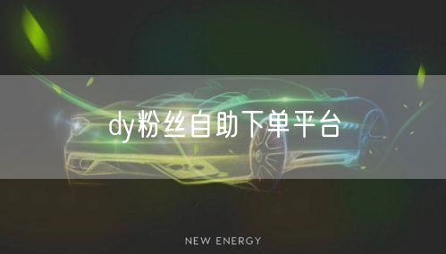 dy粉丝自助下单平台