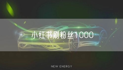 小红书刷粉丝1000