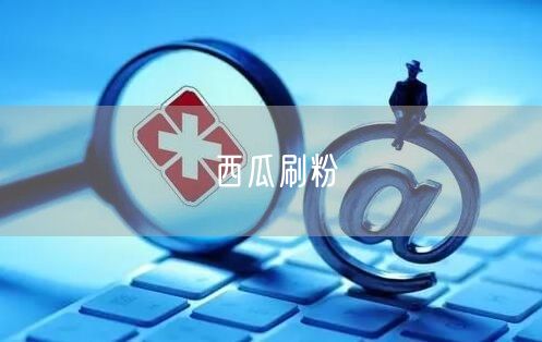 西瓜刷粉