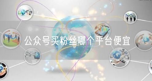 公众号买粉丝哪个平台便宜