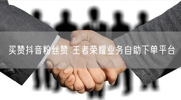 买赞抖音粉丝赞 王者荣耀业务自助下单平台