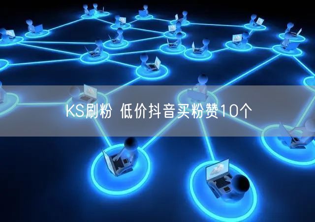 KS刷粉 低价抖音买粉赞10个