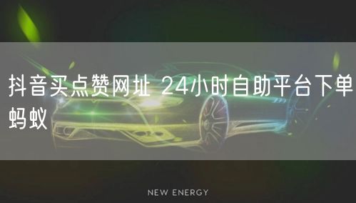 抖音买点赞网址 24小时自助平台下单蚂蚁