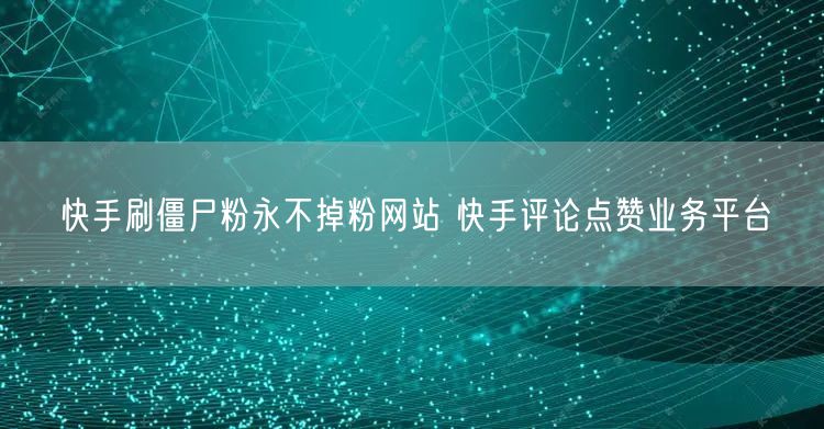 快手刷僵尸粉永不掉粉网站 快手评论点赞业务平台