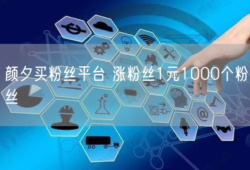 颜夕买粉丝平台 涨粉丝1元1000个粉丝