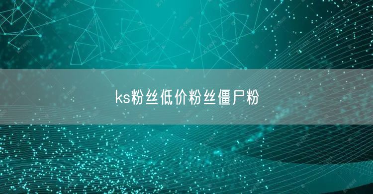 ks粉丝低价粉丝僵尸粉