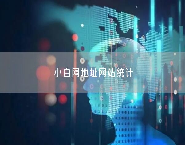 小白网地址网站统计