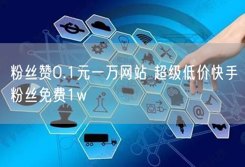 粉丝赞0.1元一万网站 超级低价快手粉丝免费1w