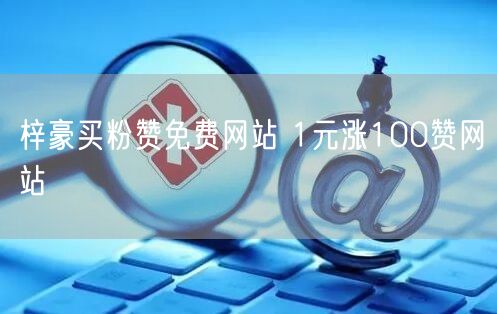梓豪买粉赞免费网站 1元涨100赞网站