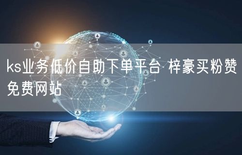 ks业务低价自助下单平台 梓豪买粉赞免费网站