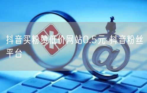 抖音买粉赞低价网站0.5元 抖音粉丝平台