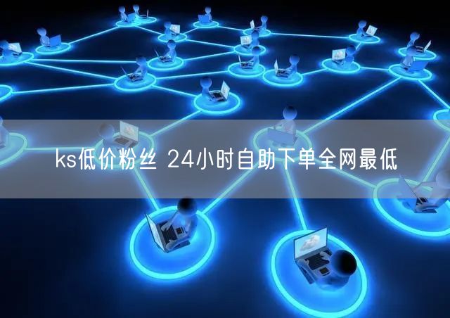 ks低价粉丝 24小时自助下单全网最低