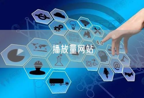 播放量网站