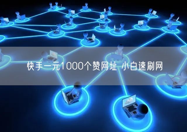 快手一元1000个赞网址 小白速刷网
