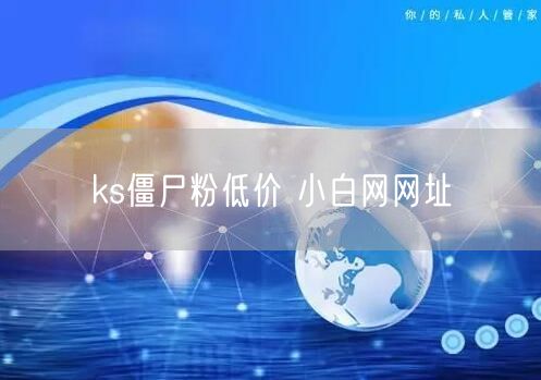 ks僵尸粉低价 小白网网址