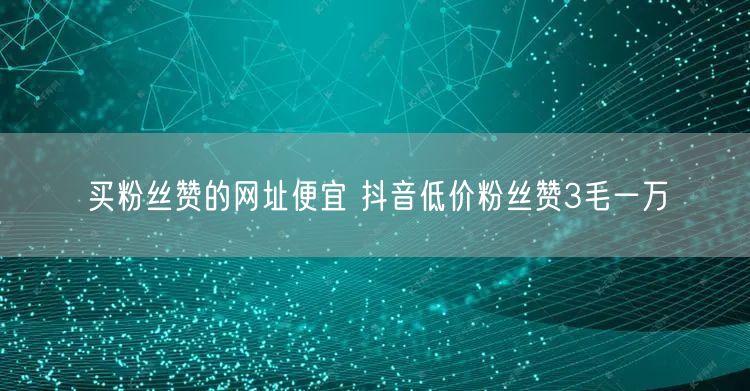 买粉丝赞的网址便宜 抖音低价粉丝赞3毛一万