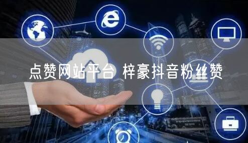 点赞网站平台 梓豪抖音粉丝赞