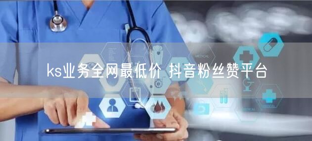ks业务全网最低价 抖音粉丝赞平台