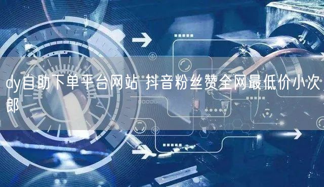 dy自助下单平台网站 抖音粉丝赞全网最低价小次郎