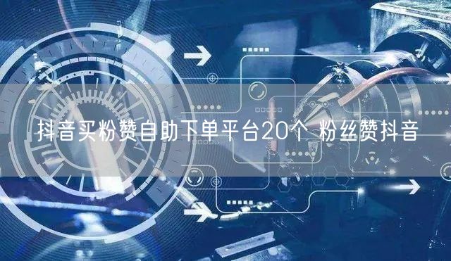 抖音买粉赞自助下单平台20个 粉丝赞抖音