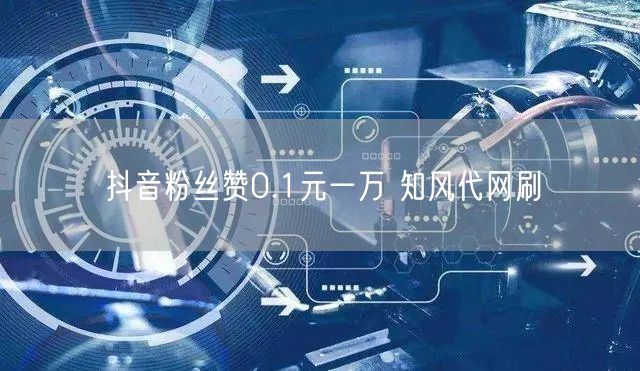 抖音粉丝赞0.1元一万 知风代网刷