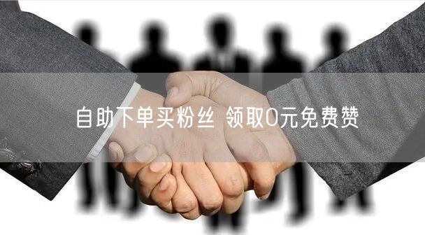 自助下单买粉丝 领取0元免费赞